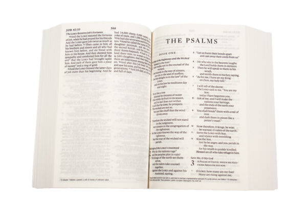 WBS Paperback Study Bible (NKJV) - Image 2