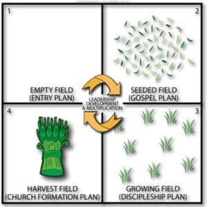 Four Fields Training Chart