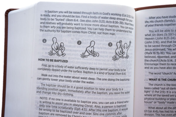 WBS Study Edition Bible (NASB) - Image 3