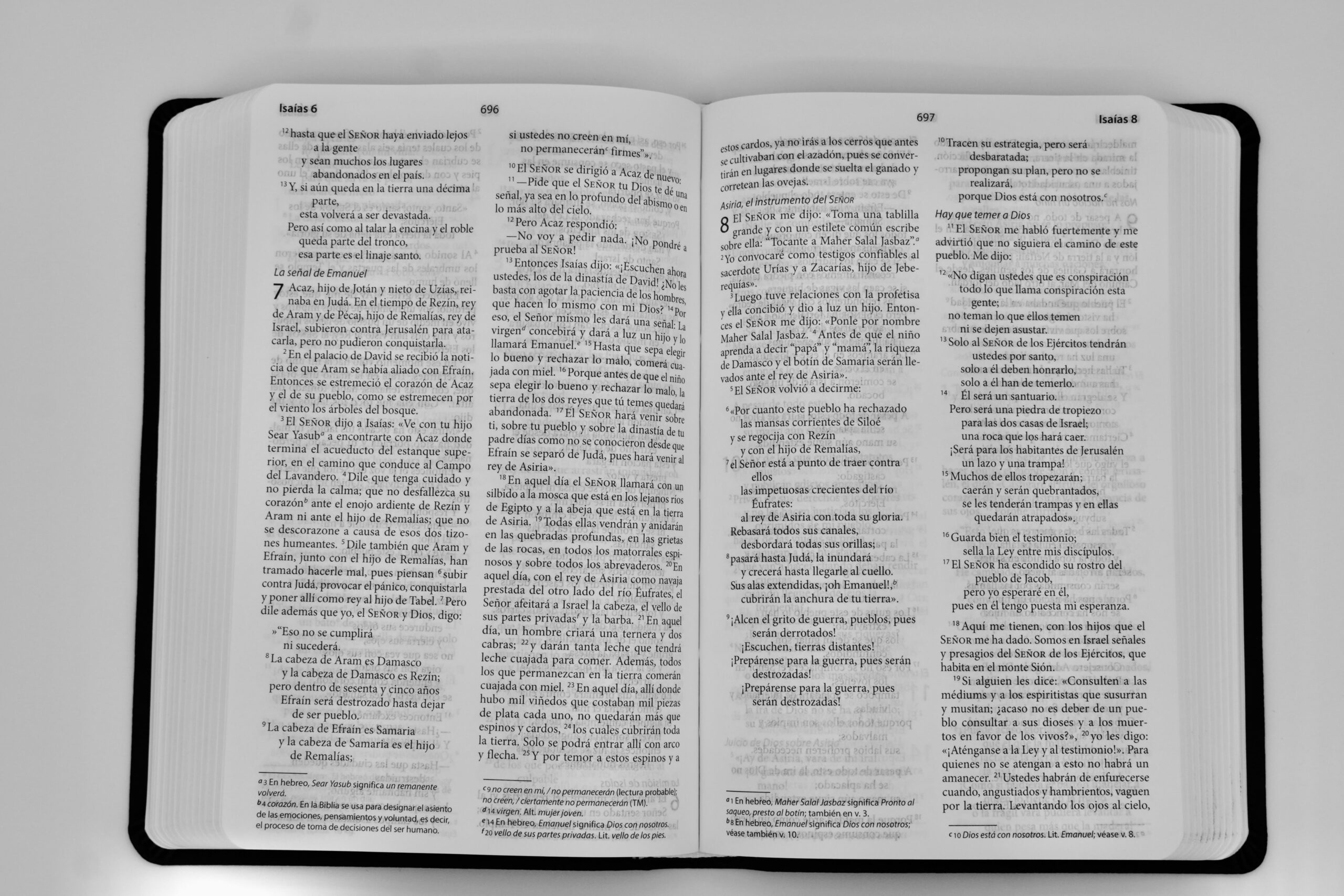 WBS Spanish Study Edition Bible - Image 2