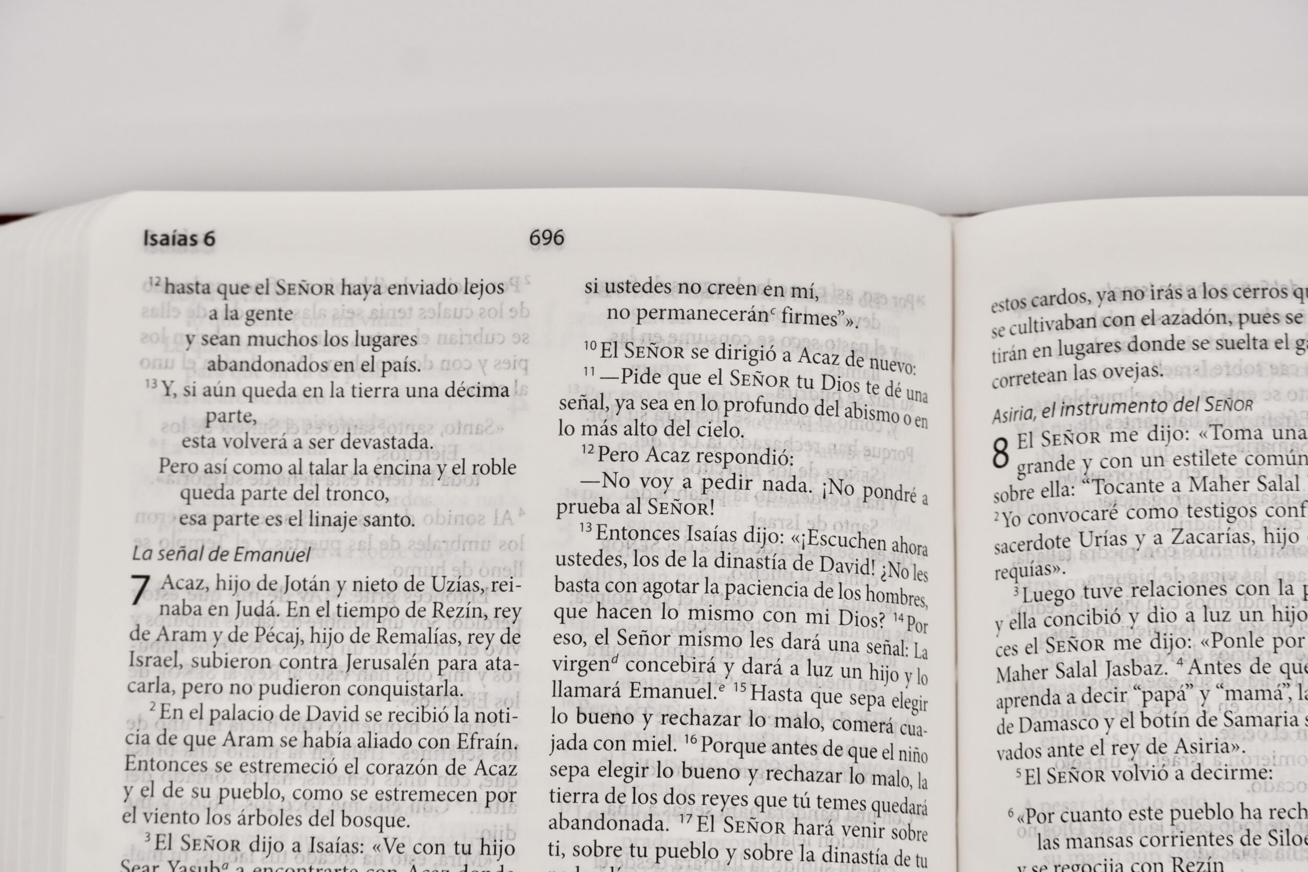 WBS Spanish Study Edition Bible - Image 3