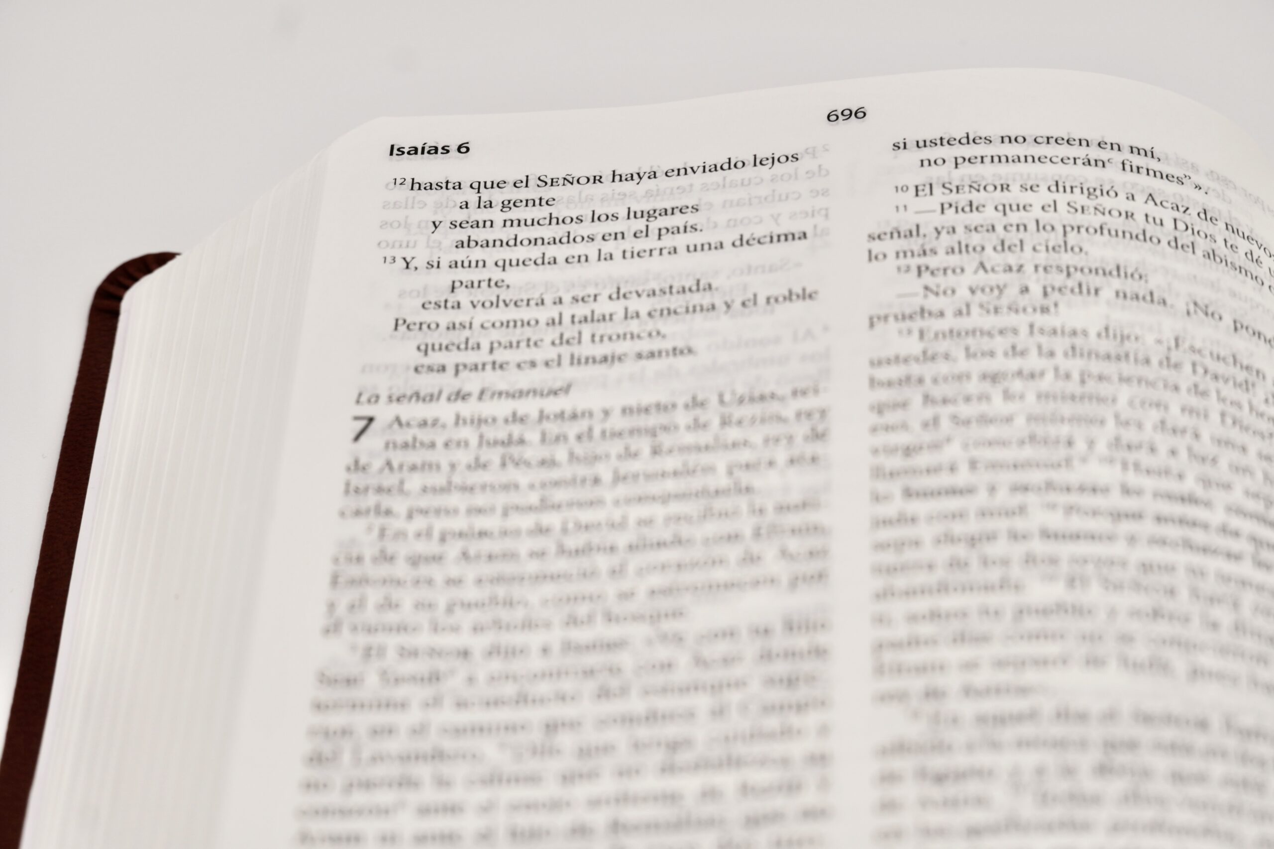 WBS Spanish Study Edition Bible - Image 5