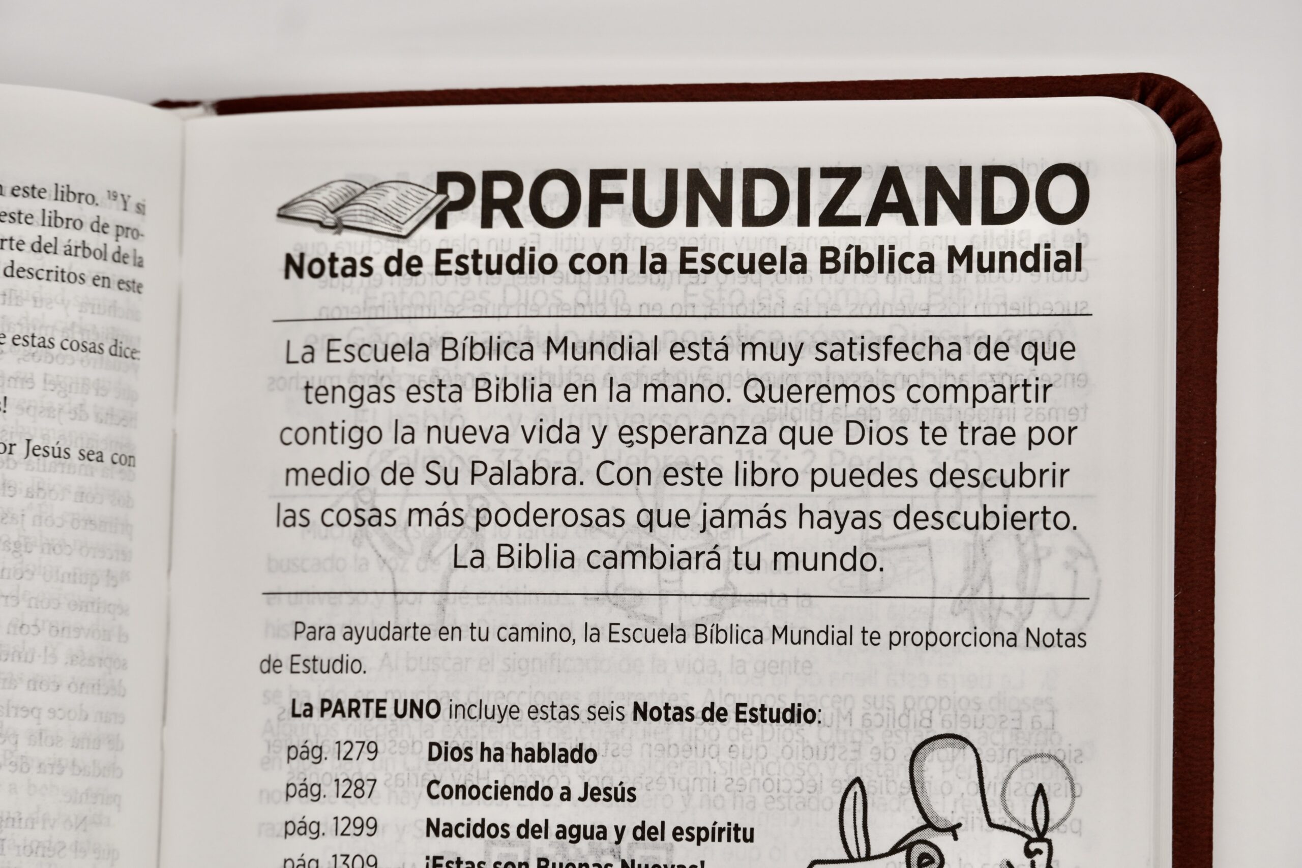 WBS Spanish Study Edition Bible - Image 6
